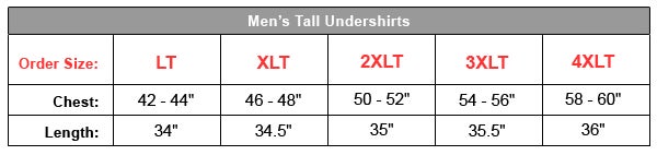 Hanes Mens ComfortSoft TAGLESS Big and 